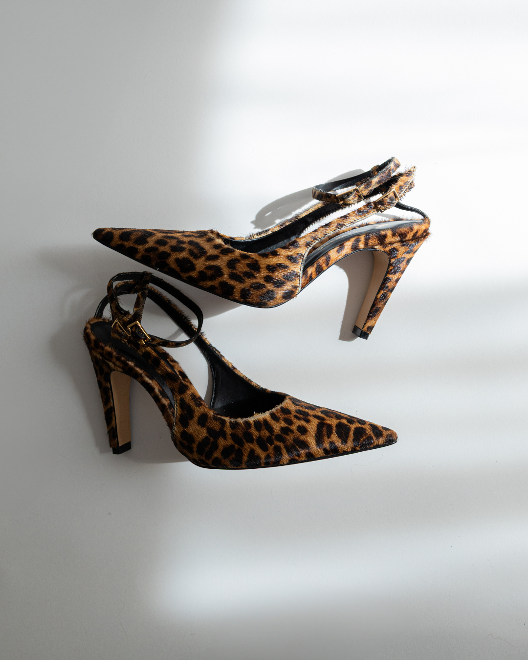 Stilettos - Carrano