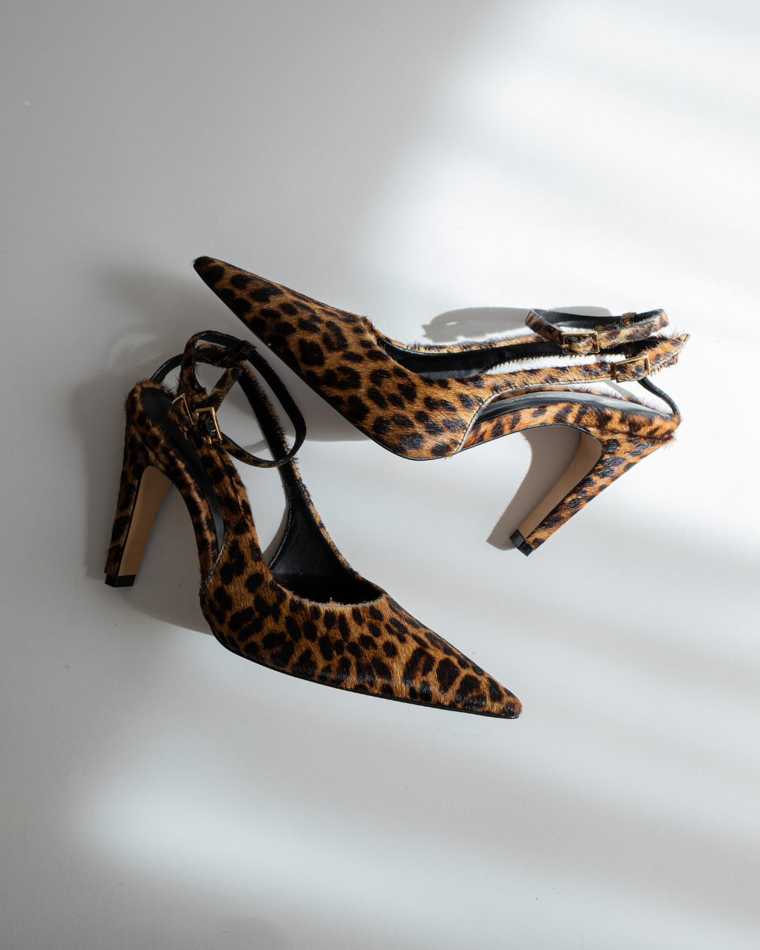 Stilettos - Carrano
